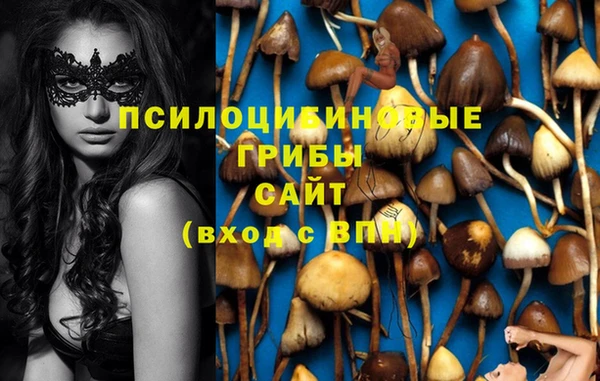 альфа пвп Няндома
