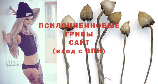 тгк Нязепетровск
