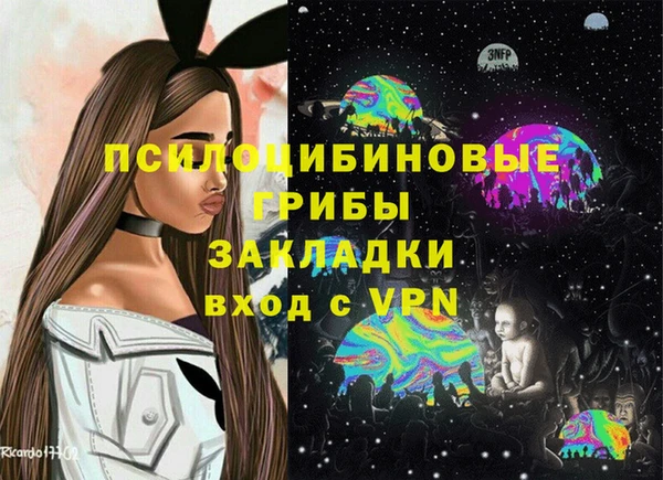 винт Нягань