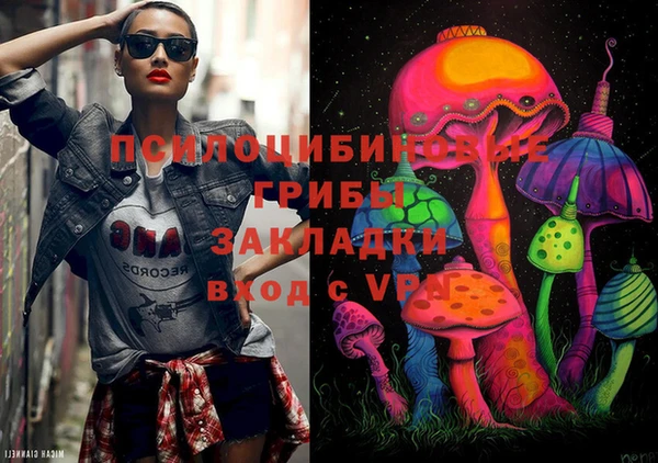 мдпв Галич