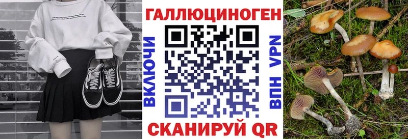 Псилоцибиновые грибы GOLDEN TEACHER купить наркоту Приморск